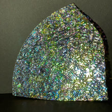 Load image into Gallery viewer, CBS mixture dichroic figure c wissmach clear 96 COE, 1 quarter circle odd sizes