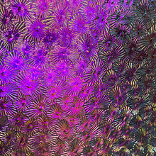 Load image into Gallery viewer, CBS magenta/green dichroic wissmach clear florentine THIN 90 COE, 1 quarter circle