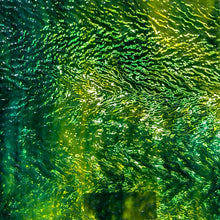 Load image into Gallery viewer, Y5015 uroboros emerald, chartruese and turquoise herringbone ripple, 9 x 14