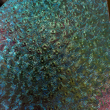 Load image into Gallery viewer, CBS magenta/green dichroic wissmach clear florentine THIN 90 COE, 1 quarter circle