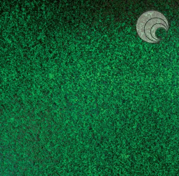 O128AV oceanside aventurine dark green 96 COE 12 x 12