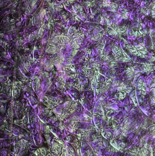 VGG560 van gogh violet/bluegreen 12 x 12