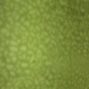 EM4914 english muffle sussex green 8 x 14