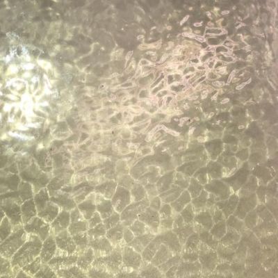 EM4928 english muffle antique veil
