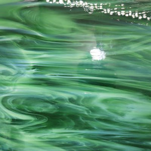O3276S oceanside dark green/white wispy 96 COE 12 x 12