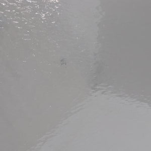 O100HSM oceanside clear small hammered 12 x 16