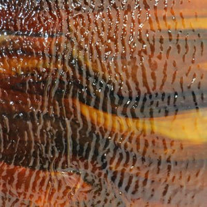 B320321 bullseye woodland brown, ivory, black streaky soft ripple 8.75 x 10
