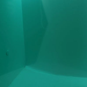O5232S oceanside teal green cathedral 96 COE 12 x 12