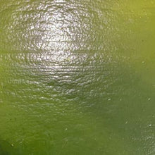Load image into Gallery viewer, Y96-4003 youghiogheny fern green opal 96 COE 11.5 x 12