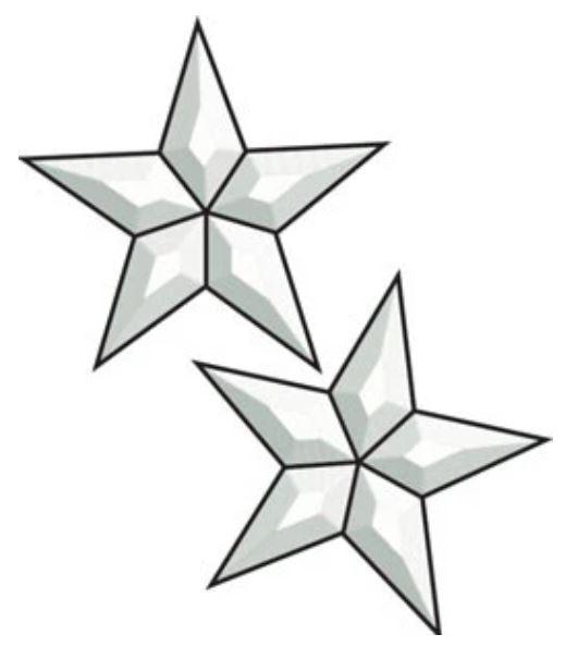 EC226 set of 2 medium star bevel clusters 4.5