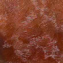 Load image into Gallery viewer, K18DV kokomo dark amber vertigo 8 x 16