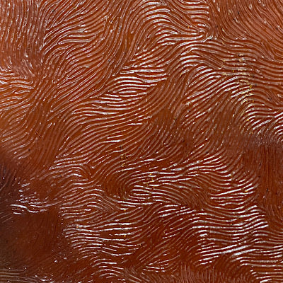 K18DV kokomo dark amber vertigo 8 x 16