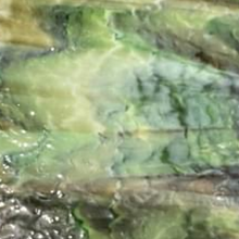 Load image into Gallery viewer, UBY6514 uroboros light &amp; dark brown &amp; green 12 x 12