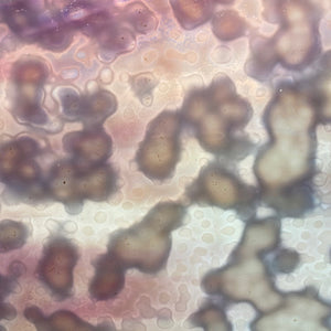 B6210 bullseye white & gold pink mottled 8.5 x 10