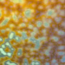 Load image into Gallery viewer, B6010 bullseye toffee mottled 8 x 10