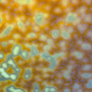 B6010 bullseye toffee mottled 8 x 10