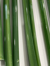 Load image into Gallery viewer, green leaves 96 COE murrini, millefiore, 1.5 oz sticks