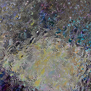 CBS mixture dichroic corkscrew wissmach clear florentine thin 96 COE, 1 quarter circle