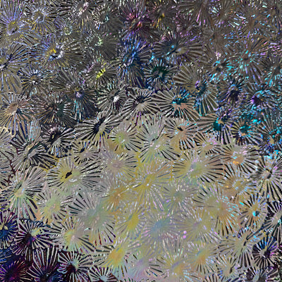 CBS mixture dichroic corkscrew wissmach clear florentine thin 96 COE, 1 quarter circle