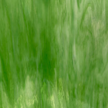 Load image into Gallery viewer, WIWO191D wissmach medium green, white wispy 8 x 14