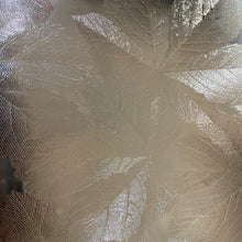 Load image into Gallery viewer, pilkington clear sycamore 10.5 x 13