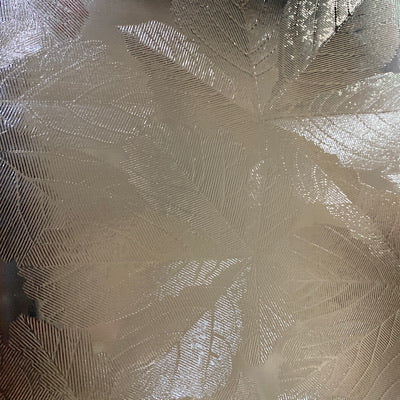 pilkington clear sycamore 10.5 x 13