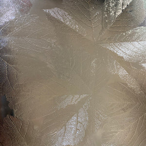 pilkington clear sycamore 10.5 x 13
