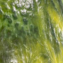 Load image into Gallery viewer, Y5040SP youghiogheny ice white, yellow, green stipple 9 x 11