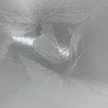 Load image into Gallery viewer, pilkington clear sycamore 10.5 x 13