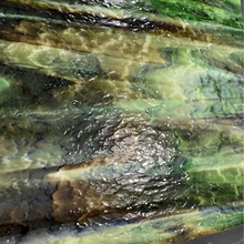 Load image into Gallery viewer, UBY6514 uroboros light &amp; dark brown &amp; green 12 x 12