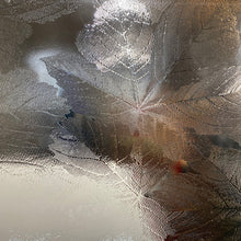 Load image into Gallery viewer, pilkington clear sycamore 10.5 x 13