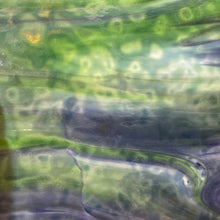 Load image into Gallery viewer, Y1364RG youghiogheny white, purple, blue,  dark green mottle 11.5 x 12