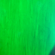 Load image into Gallery viewer, Sale: K657D kokomo holly green opalume 7.5 x 16