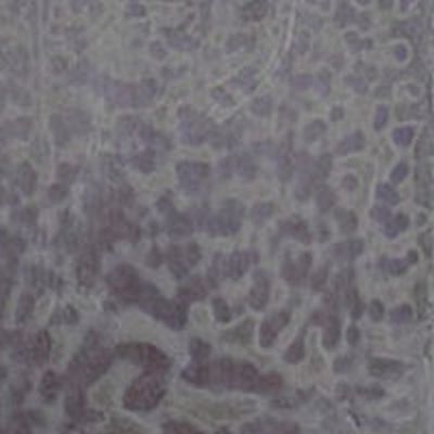 Y700HS youghiogheny steel gray opal mottled 11.5 x 12